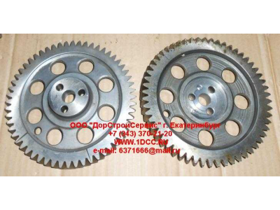 Шестерня распредвала WP12 SHAANXI / Shacman (ШАНКСИ / Шакман) 612630030003 фото 1 Орск