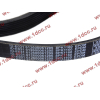Ремень 8PK1160 SH (612600061295) SHAANXI / Shacman (ШАНКСИ / Шакман) 612600061752 фото 2 Орск